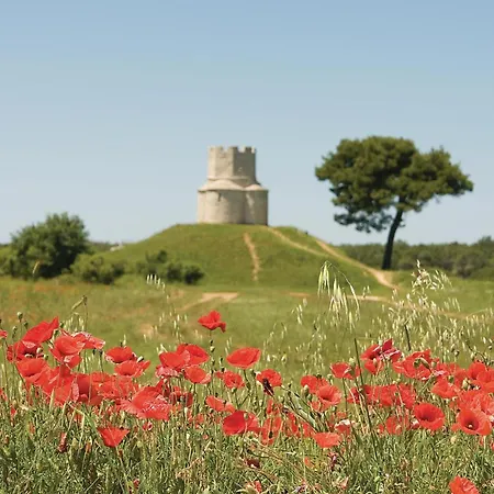 Appartement 2 Bedroom Awesome In Nin